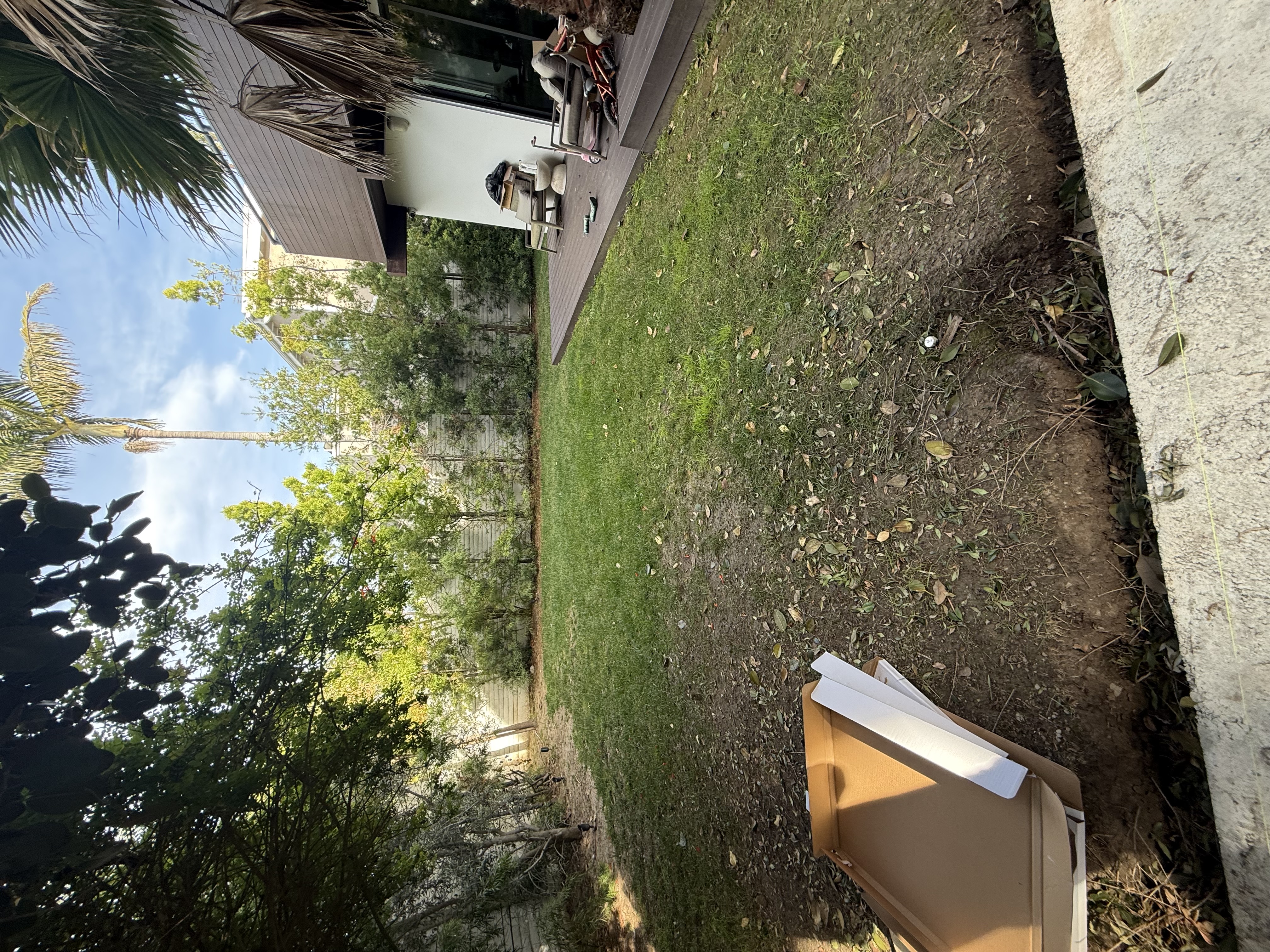 Before — natural lawn